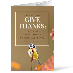 Seasonal Birds Fall Bulletins