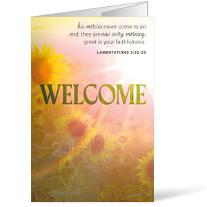 Morning Sunlight Summer Bulletins