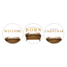 Born Manger Set 