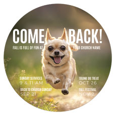Come Back Fall Dog 