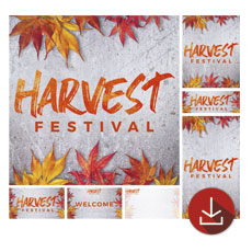 Harvest Festival Leaves 