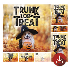 Trunk or Treat Dog 