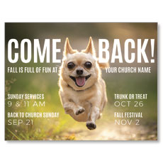Come Back Fall Dog 