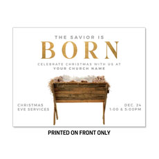 Born Manger 