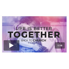 BTC Better Together Bumper 