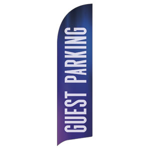 Aurora Lights Guest Parking Flag Banner